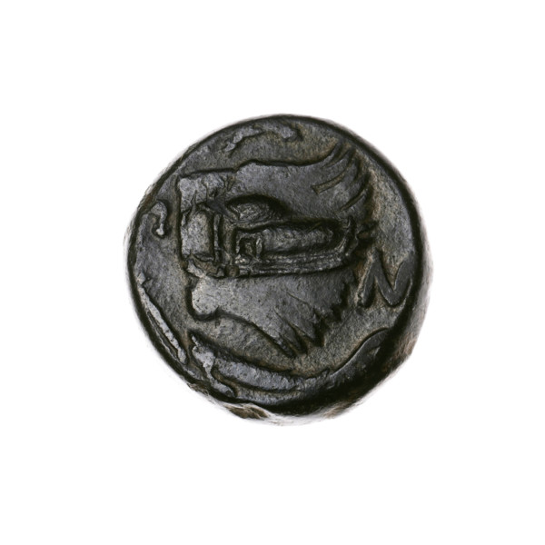 Bronze coin, Pantikapaion; obverse: head of a beardless Satyr in an ivy wreath facing left, with a