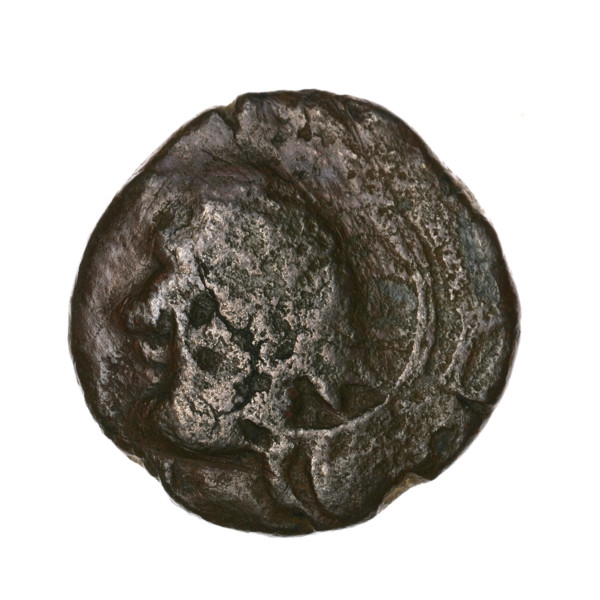 Bronze coin, Pantikapaion; obverse: head of a beardless Satyr in an ivy wreath facing left, with a