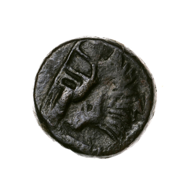 Bronze coin, Pantikapaion; obverse: head of a beardless Satyr in an ivy wreath facing left, with a