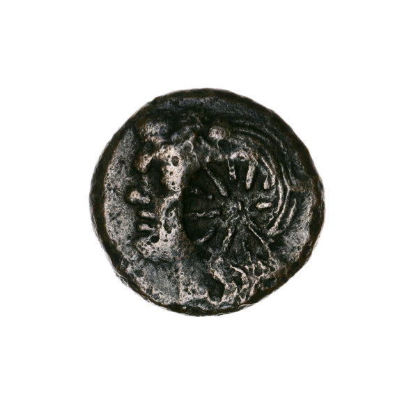Bronze coin, Pantikapaion, beginning of 3rd century BC. Obverse: head of a beardless Satyr in an