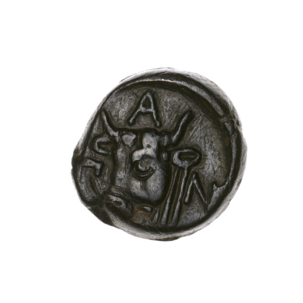 Bronze coin, Pantikapaion; obverse: head of bearded Satyr to the left; reverse: bull's head to the