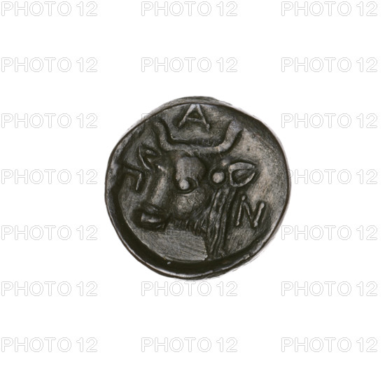 Bronze coin, Pantikapaion; obverse: head of a bearded Satyr facing left; reverse: bull's head