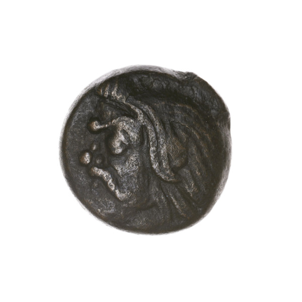 Bronze coin from Pantikapaion, beginning of the 3rd century BC. Obverse: head of bearded Satyr to