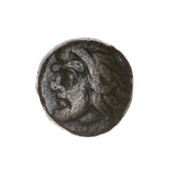 Bronze coin, Pantikapaion; obverse: head of a bearded Satyr to the left; reverse: bull's head to