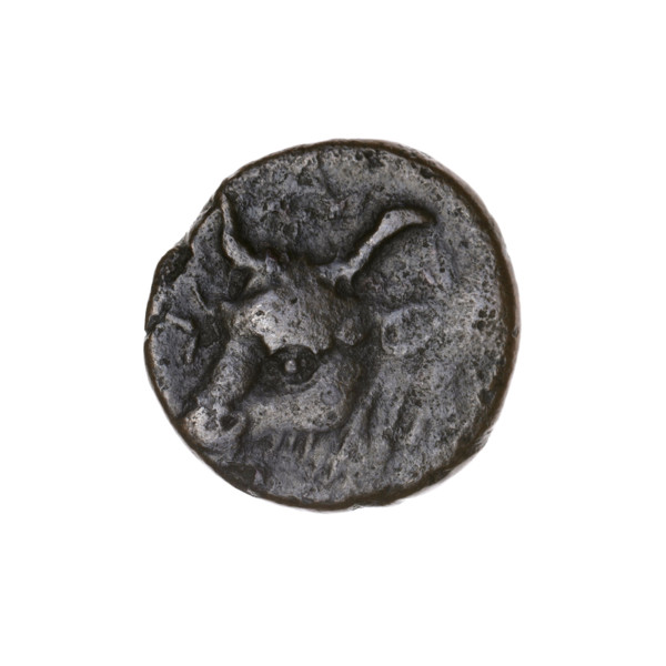 Bronze coin from Pantikapaion depicting a bearded Satyr's head left and a bull's head left; letters