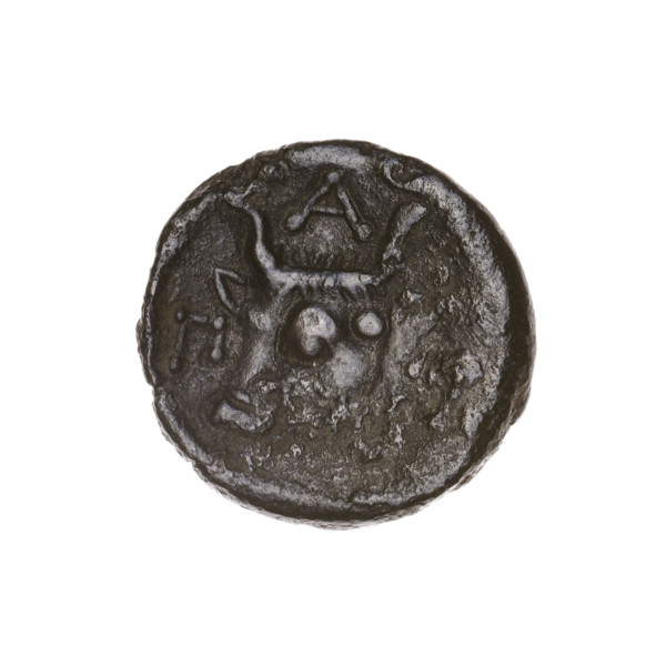 Bronze coin, Pantikapaion; obverse: head of a bearded Satyr to the left; reverse: bull's head to