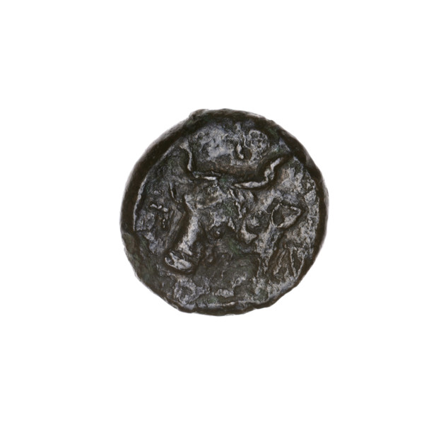 bronze coin, Pantikapaion; obverse: head of bearded Satyr to the left; reverse: head of bull to the