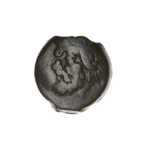 Bronze coin from Pantikapaion (Cimmerian Bosporus), beginning of the 3rd century BC. Obverse: head