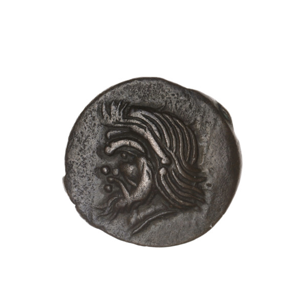 bronze coin, Pantikapaion; obverse: head of a bearded Satyr to the left; reverse: bull's head to