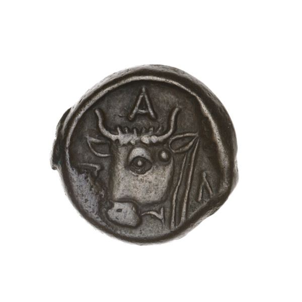 bronze coin, Pantikapaion; obverse: head of a bearded Satyr to the left; reverse: bull's head to