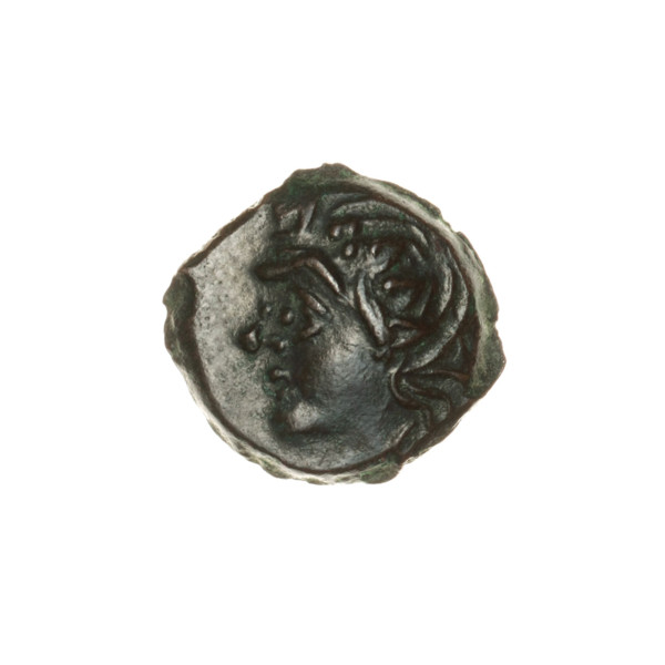 bronze coin, Pantikapaion; obverse: head of beardless Satyr in an ivy wreath facing left; reverse: