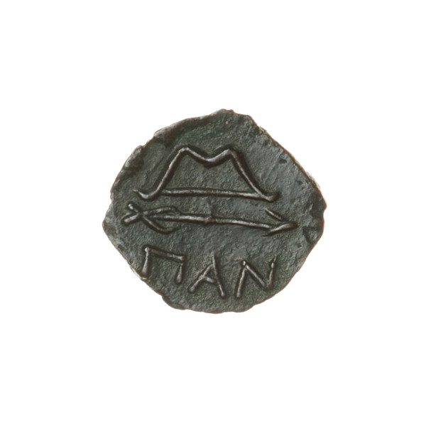 bronze coin, Pantikapaion; obverse: head of beardless Satyr in an ivy wreath facing left; reverse: