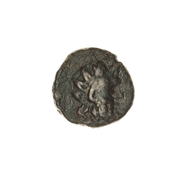 bronze coin, Pantikapaion; obverse: head of a bearded Satyr in an ivy wreath facing right; reverse: