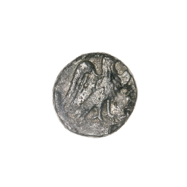 drachma, Pantikapaion, eagles, head of Apollo (iconographic), Black Sea, birds, Apollo (mythology),