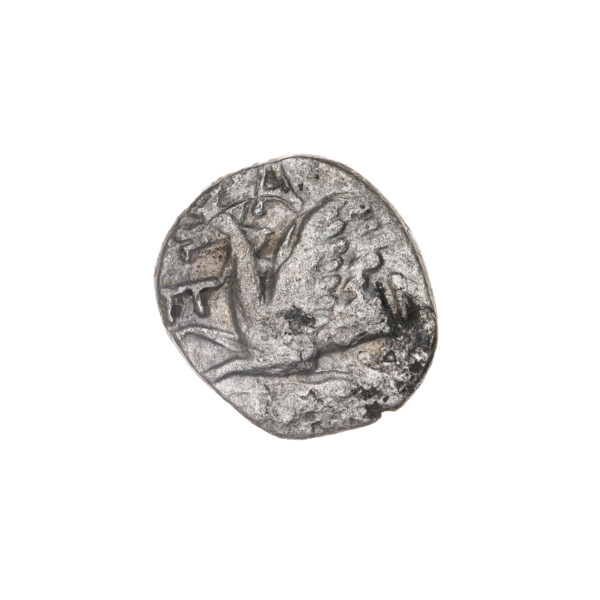 drachma, Pantikapaion, protoma of a griffin (iconographic), ears of corn, head of Apollo