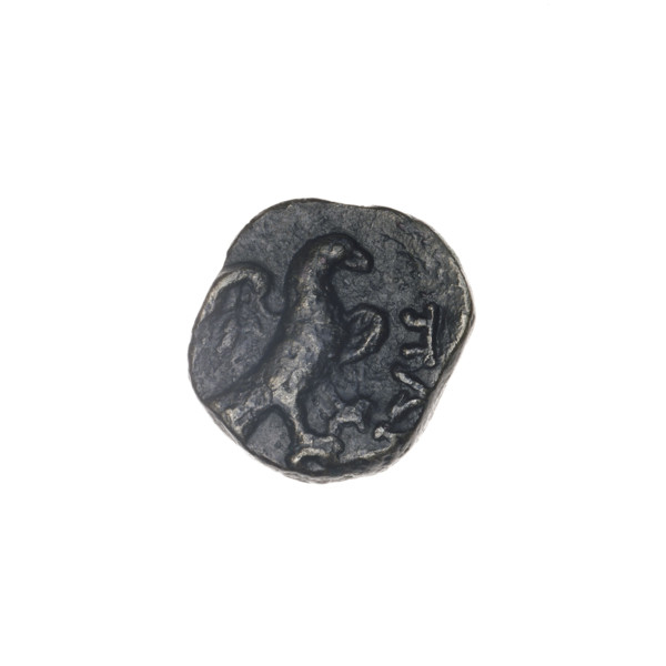 drachma, Pantikapaion, eagles, head of Apollo (iconographic), Black Sea, birds, Apollo (mythology),