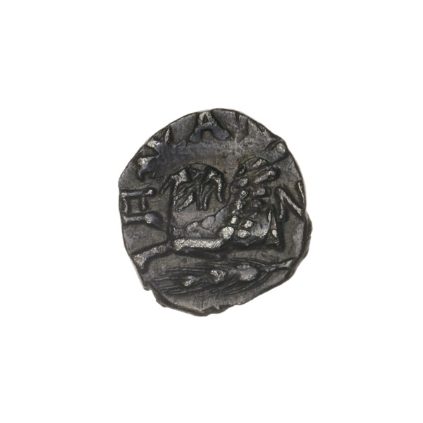 drachma, Pantikapaion, ears of corn, protoma of a griffin (iconographic), head of Apollo