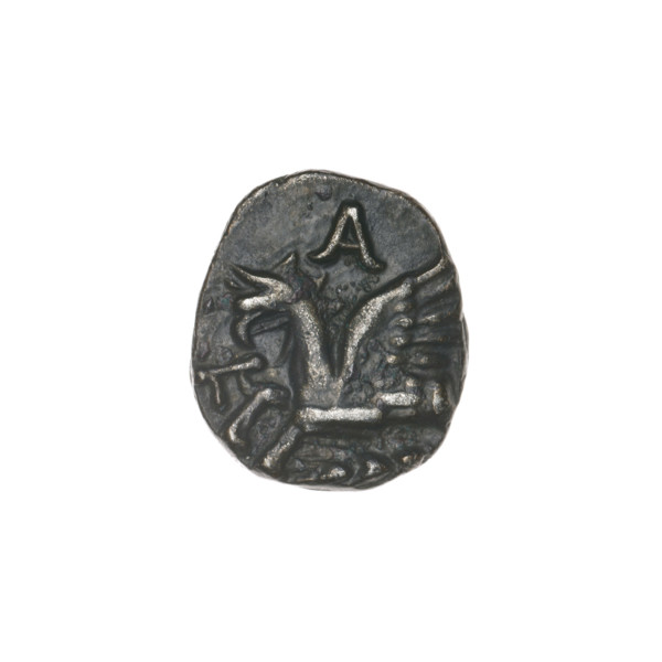 Drachma, Pantikapaion; obverse: head of Apollo in a laurel wreath to the right; reverse: protoma of