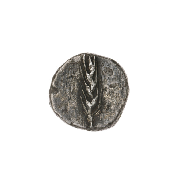 Triobol, Pantikapaion; obverse: head of Apollo in laurel wreath facing right; reverse: ear of corn