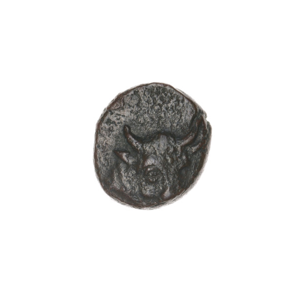 bronze coin, Pantikapaion; obverse: bull's head 3/4 right; reverse: plough left, above it ear of