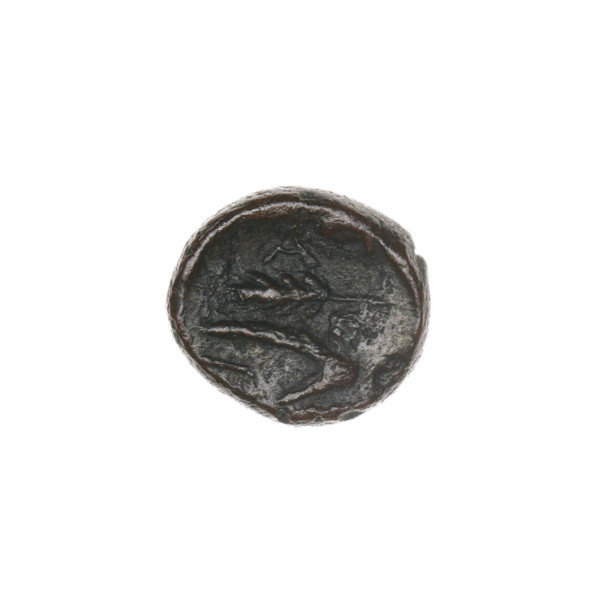 bronze coin, Pantikapaion; obverse: bull's head 3/4 right; reverse: plough left, above it ear of