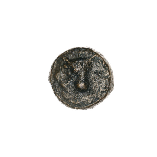 Bronze coin, Pantikapaion; obverse: bull's head 3/4 to the right; reverse: plow to the left, above