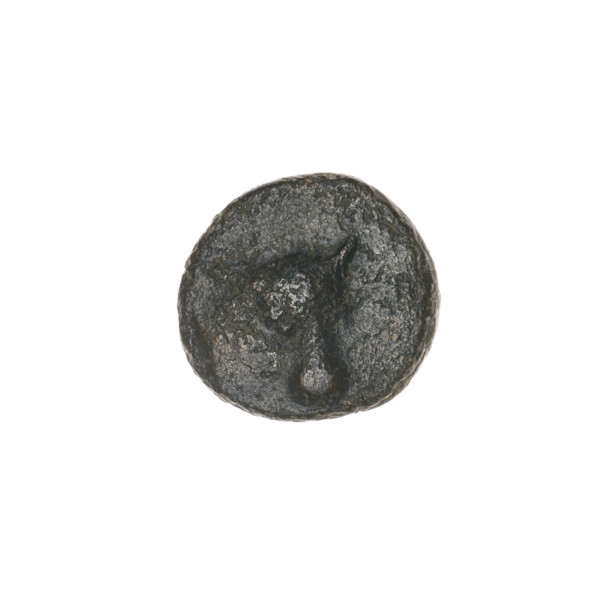 bronze coin, Pantikapaion; obverse: bull's head 3/4 to the right; reverse: plough to the left,