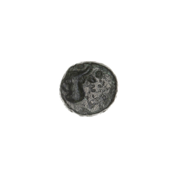 bronze coin, Pantikapaion; obverse: bull's head 3/4 to the right; reverse: plough to the left,