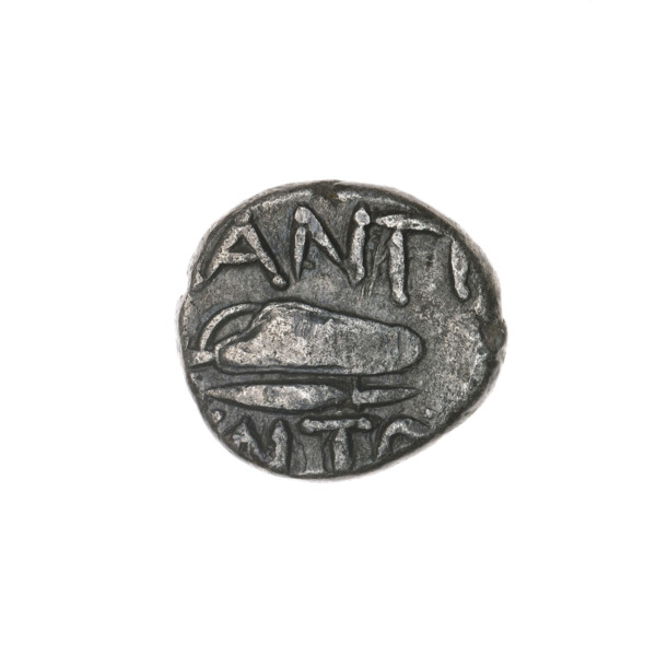 drachma, Pantikapaion; iconography: bow in a quiver (gorytos) and head of Apollo; aw: head of
