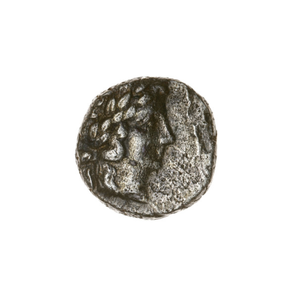 Tetrobol, Pantikapaion; head of Apollo (iconographic) and horse prototype (iconographic); Black