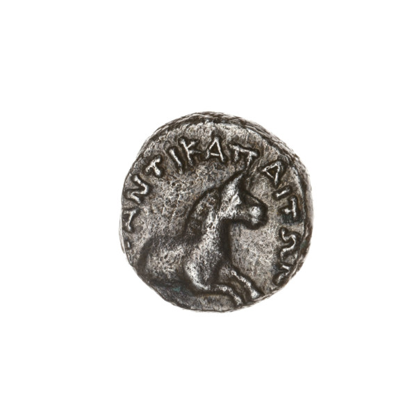 tetrobol, Pantikapaion, head of Apollo (iconographic), horse prototype (iconographic), Black Sea,