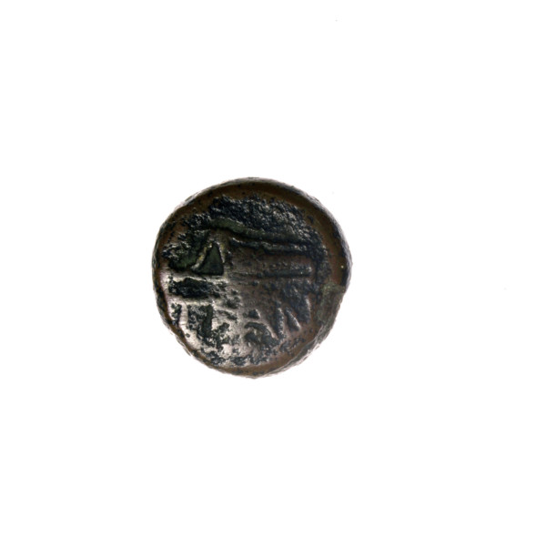 Bronze coin from Pantikapaion, 1st half of the 2nd – ca. mid-2nd century BC (Cimmerian Bosporus).