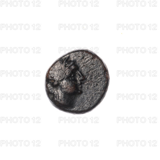 bronze coin, Pantikapaion, dolphins, head of Apollo (iconographic), Black Sea, Apollo (mythology),