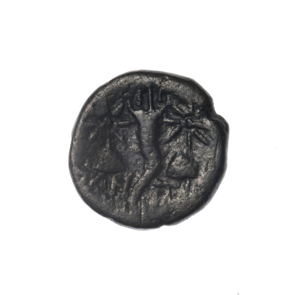 Bronze coin, Pantikapaion; obverse: head of bearded Satyr in ivy wreath facing left; reverse: