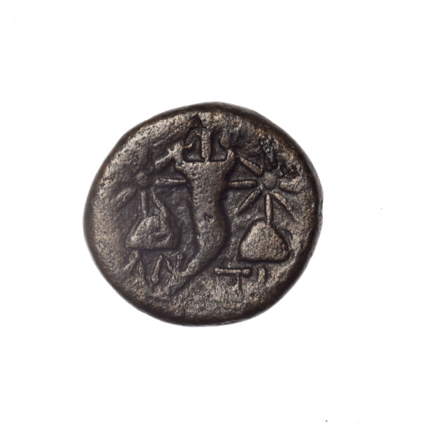 Bronze coin from Pantikapaion; obverse: head of bearded Satyr in ivy wreath facing left; reverse: