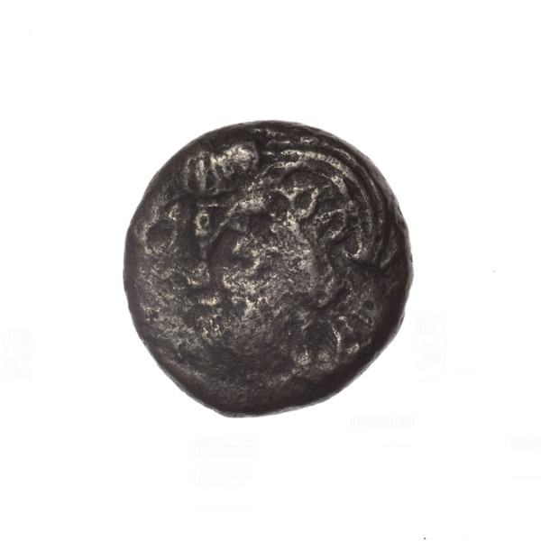 bronze coin, Pantikapaion; iconography: Dioscuri caps, Satyr's head, cornucopia; subject: Satyr