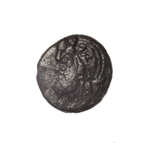 bronze coin, Pantikapaion; iconography: Dioscuri caps, Satyr's head, cornucopia; motifs: Satyr