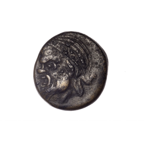 Bronze coin from Pantikapaion depicting the Dioscuri caps (iconographic) and a Satyr's head