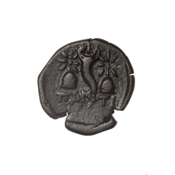 Bronze coin, Pantikapaion; obverse: head of bearded Satyr in an ivy wreath facing left; reverse: