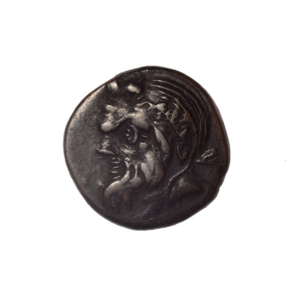 bronze coin, Pantikapaion; iconography: Dioscuri caps, Satyr's head, cornucopia; motifs: Satyr