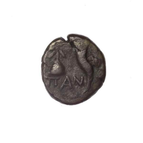 bronze coin, Pantikapaion, Dioscuri caps (iconographic), Satyr's head (iconographic), Black Sea,