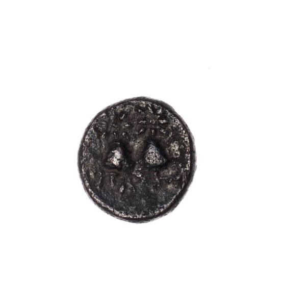 bronze coin, Pantikapaion; head of Satyr (iconographic); Dioscuri caps (iconographic); Black Sea;