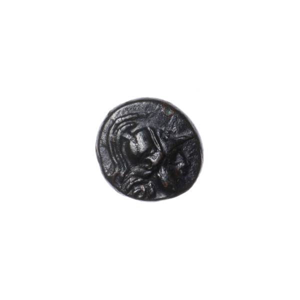 bronze coin, Pantikapaion; obverse: head of Athena in a Corinthian helmet facing right; reverse: