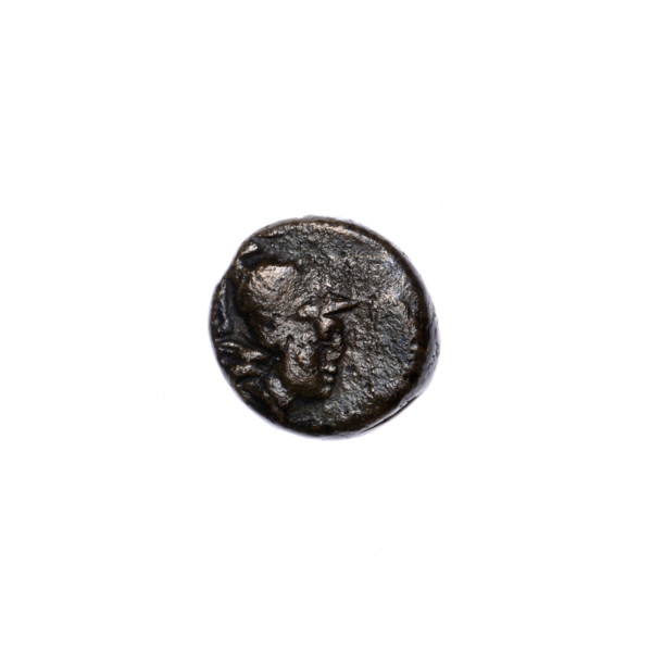 bronze coin, Pantikapaion; obverse: head of Athena in a Corinthian helmet facing right; reverse: