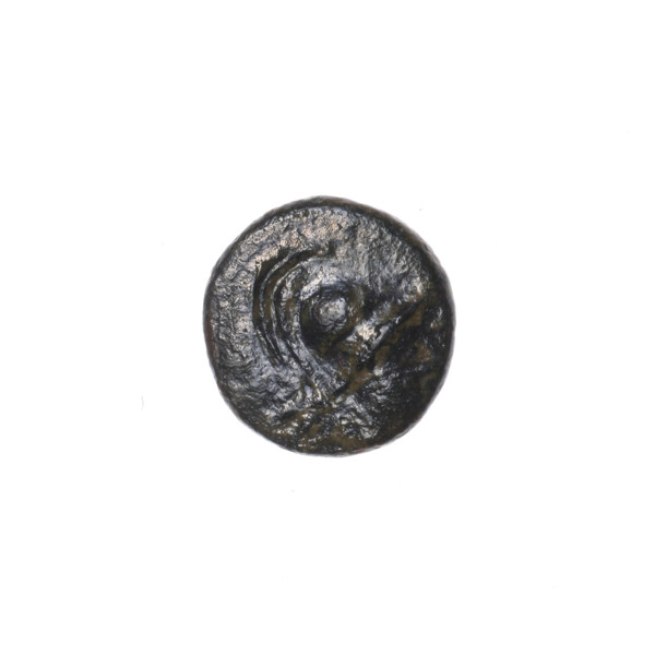 Bronze coin, Pantikapaion; obverse: head of Athena in a Corinthian helmet facing right; reverse: