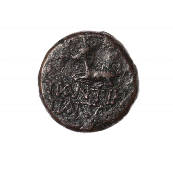 bronze coin, Pantikapaion; obverse: bust of Artemis with bow and quiver on shoulder facing right;
