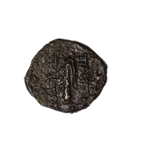 Bronze coin, Pantikapaion; obverse: head of Heracles in diadem facing right; reverse: club