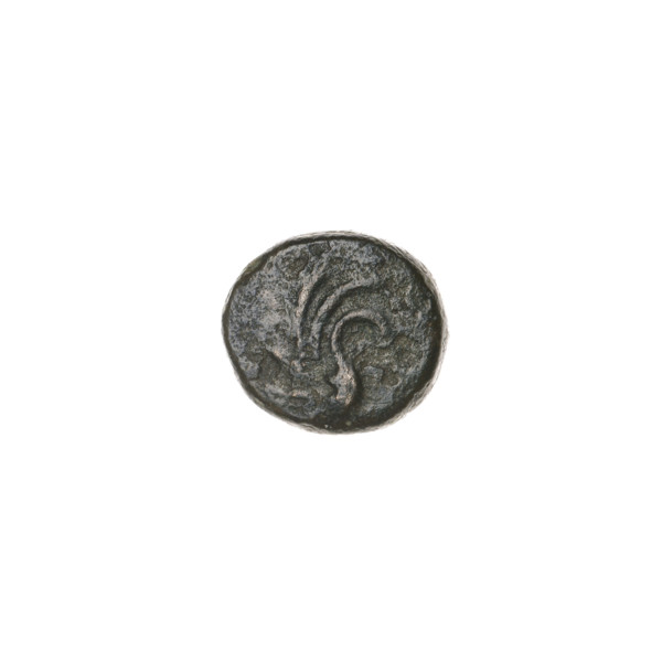 Bronze coin, Pantikapaion; obverse: wing vertically; reverse: tripod, inscription on the left. End