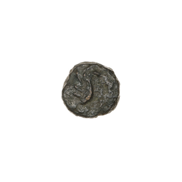 Bronze coin from Pantikapaion, end of 3rd century BC. Obverse: wing vertically. Reverse: tripod,