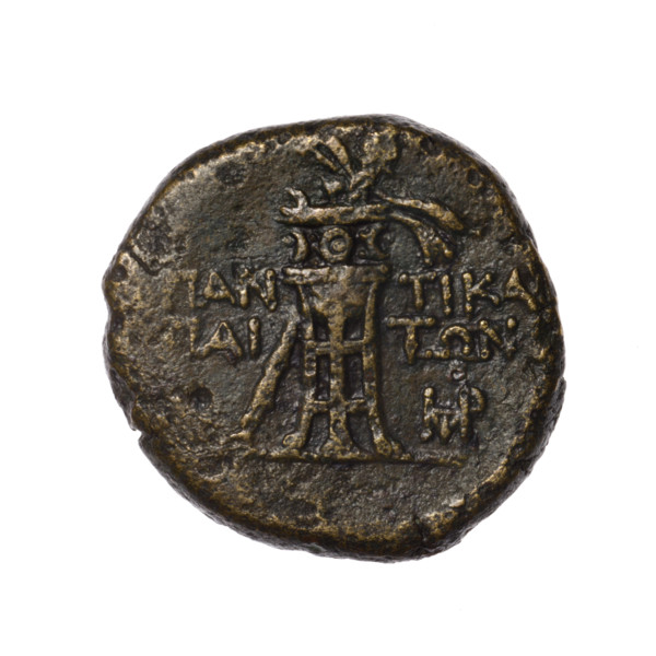 bronze coin, Pantikapaion; obverse: head of Apollo in a laurel wreath to the right; obverse: